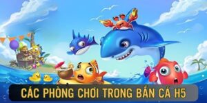Giới thiệu hệ thống phòng chơi đa dạng